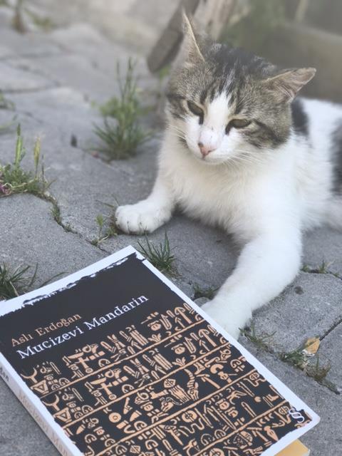 ホテル Vegke Kutuk Evleri Seben エクステリア 写真